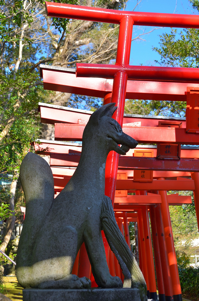 玉園稲荷神社2020　1月　宝珠