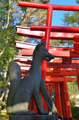 玉園稲荷神社2020　1月　宝珠