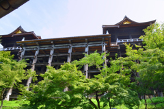 京都2022　7月-3　清水寺④