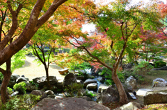 渓石園2022　11月-5　日本庭園