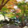 渓石園2022　11月-5　日本庭園