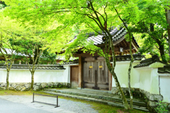 呑山観音寺2021　6月-3　客殿　正門