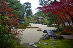 足立美術館2017　11月　日本庭園①