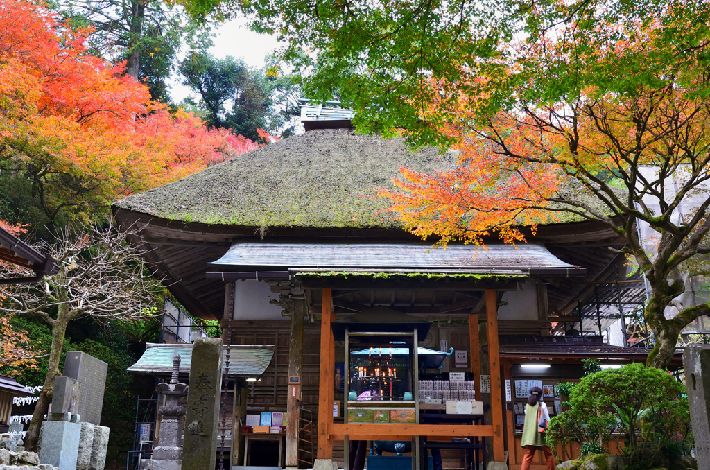 大興善寺2021　11月-5　本堂