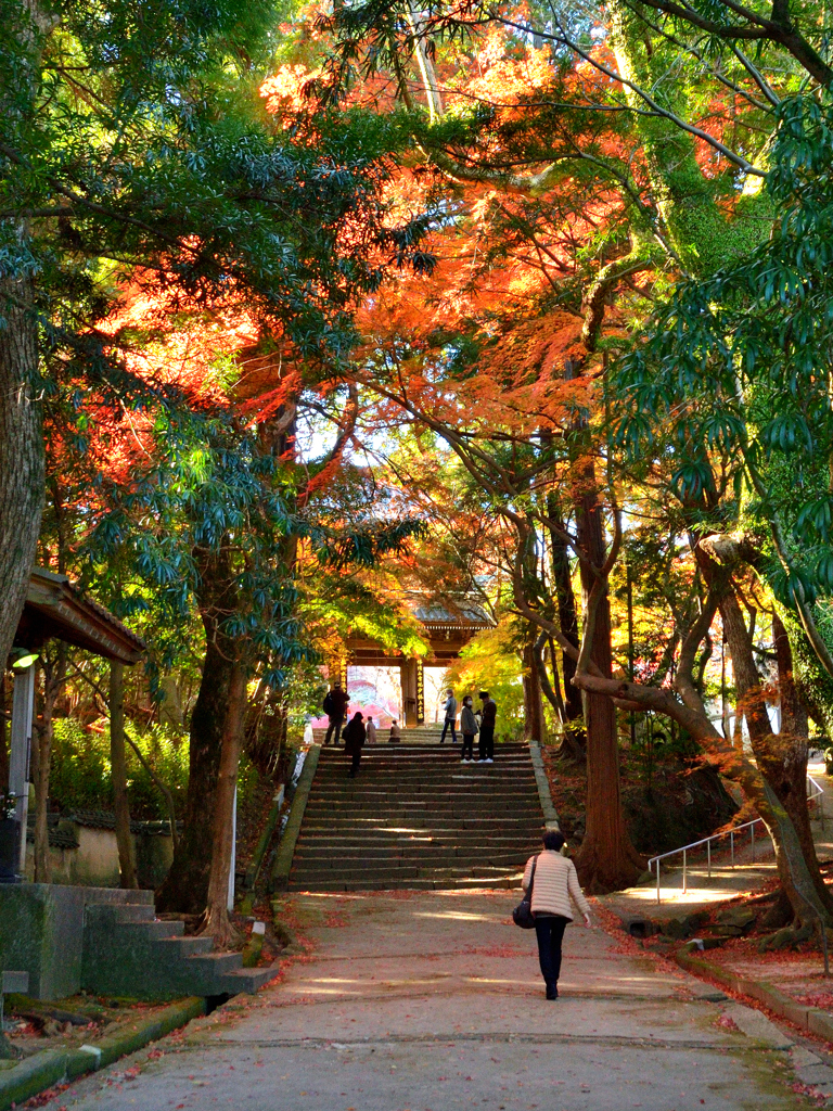 功山寺2021　秋-01　参道