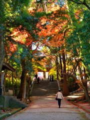 功山寺2021　秋-01　参道