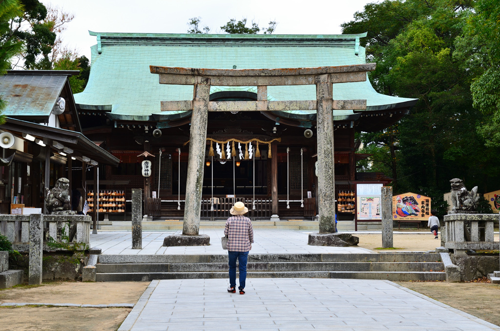 唐津神社2019　拝殿