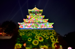 小倉城2023　夏　P・M　向日葵①