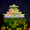 小倉城2023　夏　P・M　向日葵①