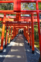 玉園稲荷神社2020　1月　鳥居