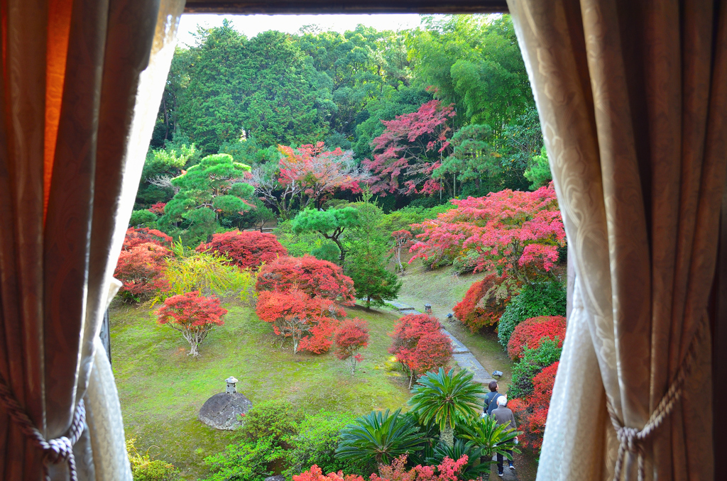 旧松本邸　洋館2023　晩秋-01　2F客室（B）窓②