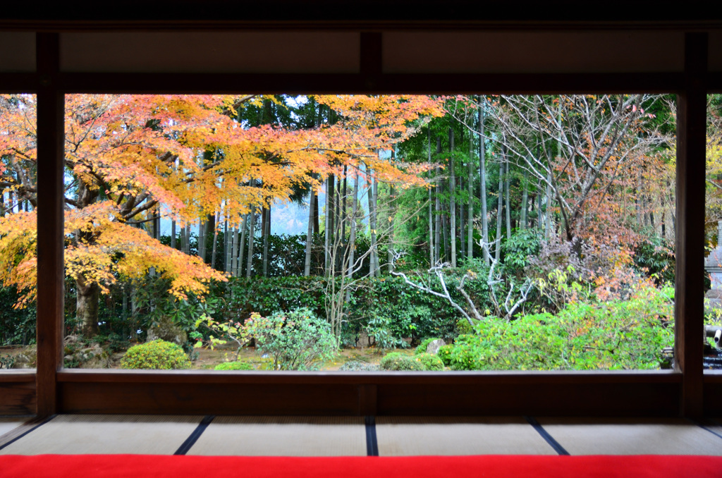 宝泉院2018-2　竹林