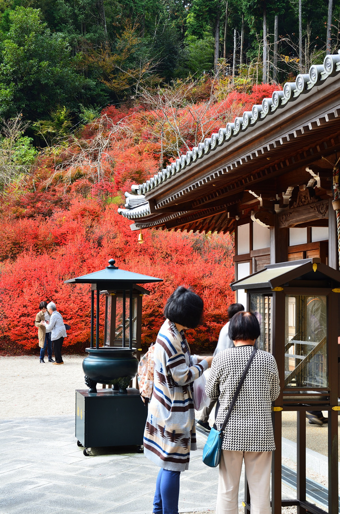 呑山観音寺2019-6　大百観音堂　ﾄﾞｳﾀﾞﾝﾂﾂｼﾞ①