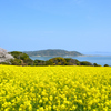 能古島2023　3月-1　菜の花畑と志賀島に青空
