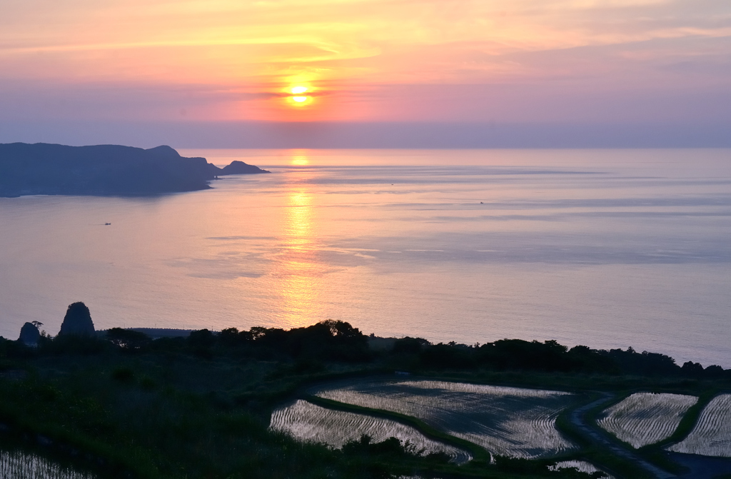 東後畑棚田2022　6月-6　サンロード