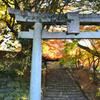 秋月2021　11月-4　鳥居と石段