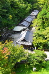 清水寺2022　7月-1　音羽の滝　