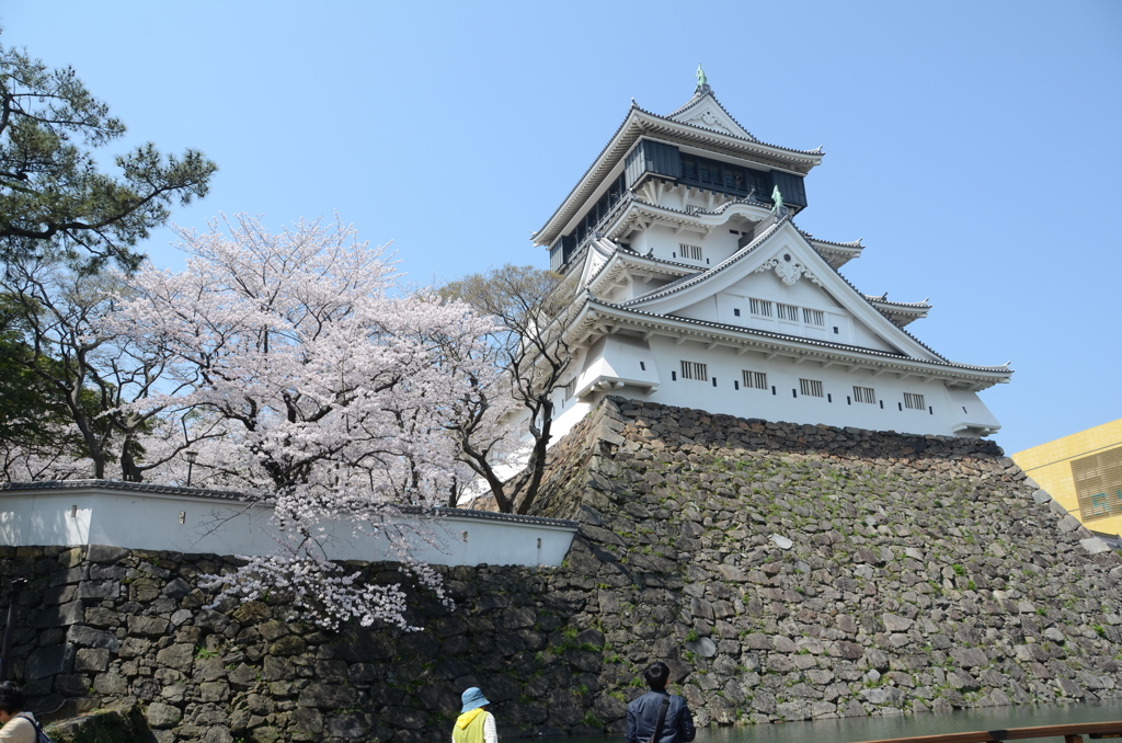 小倉城2018　桜②