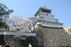 小倉城2018　桜②
