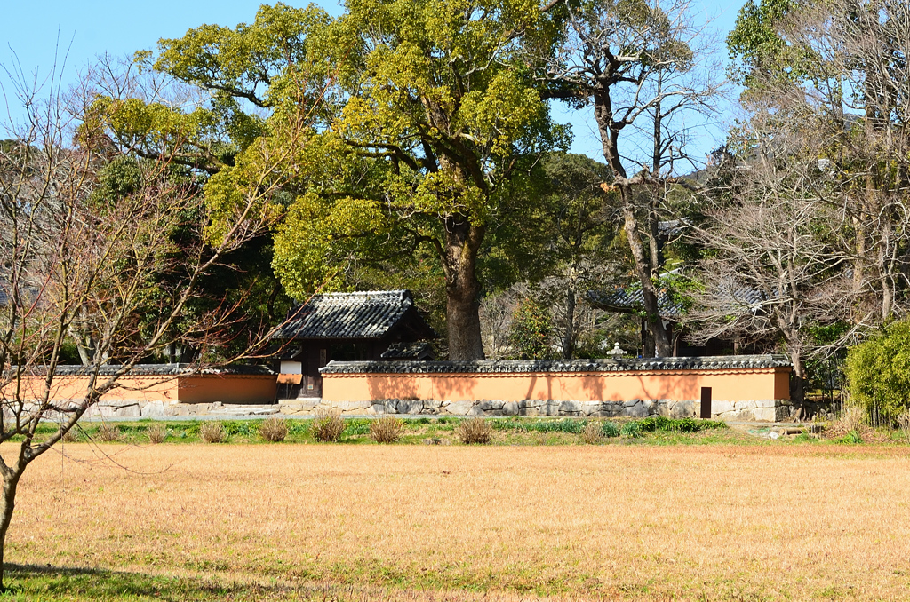 戒壇院2021　2月　外塀