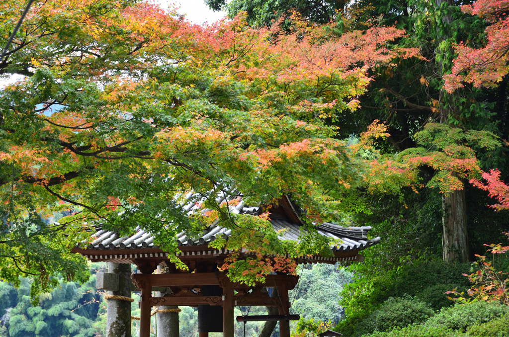 大興善寺2018　鐘楼