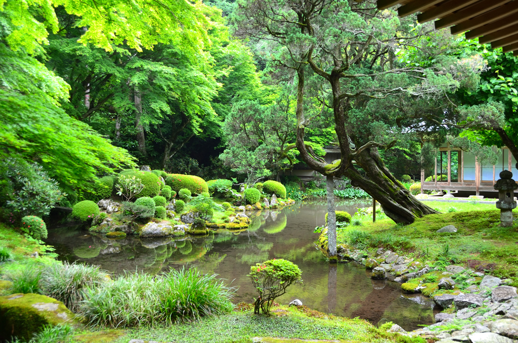 雷山千如寺2022　6月　庭園　心字池①