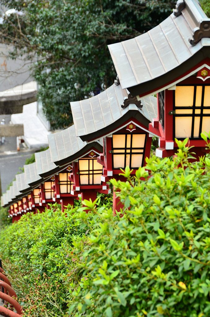 篠崎八幡神社2021　1月　灯篭