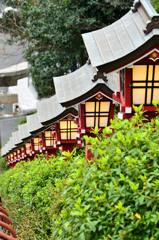 篠崎八幡神社2021　1月　灯篭