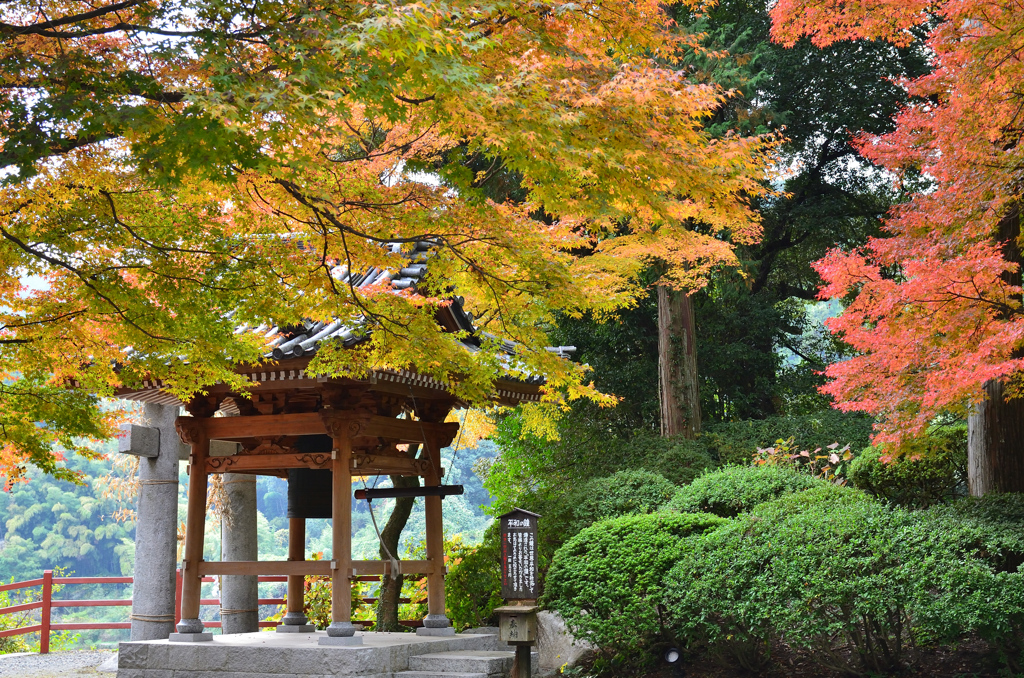 大興善寺2021　11月-5　鐘楼