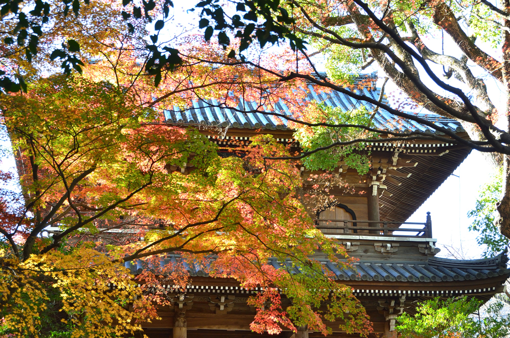 功山寺021　秋-3　山門