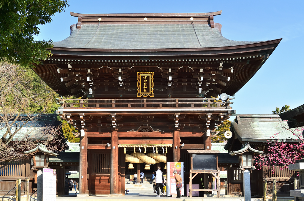 宮地嶽神社2021　2月　楼門と寒緋桜①