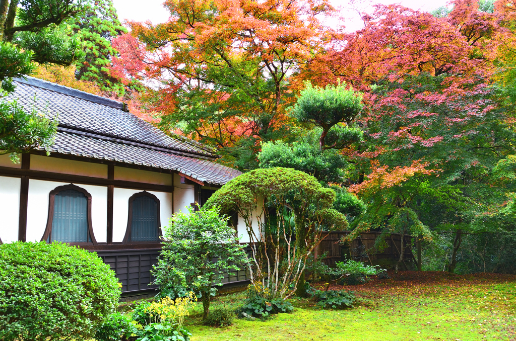 清水寺本坊庭園2022　11月-1　花灯窓