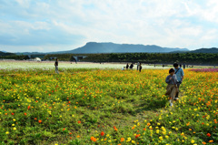三光村2019-1　八面山