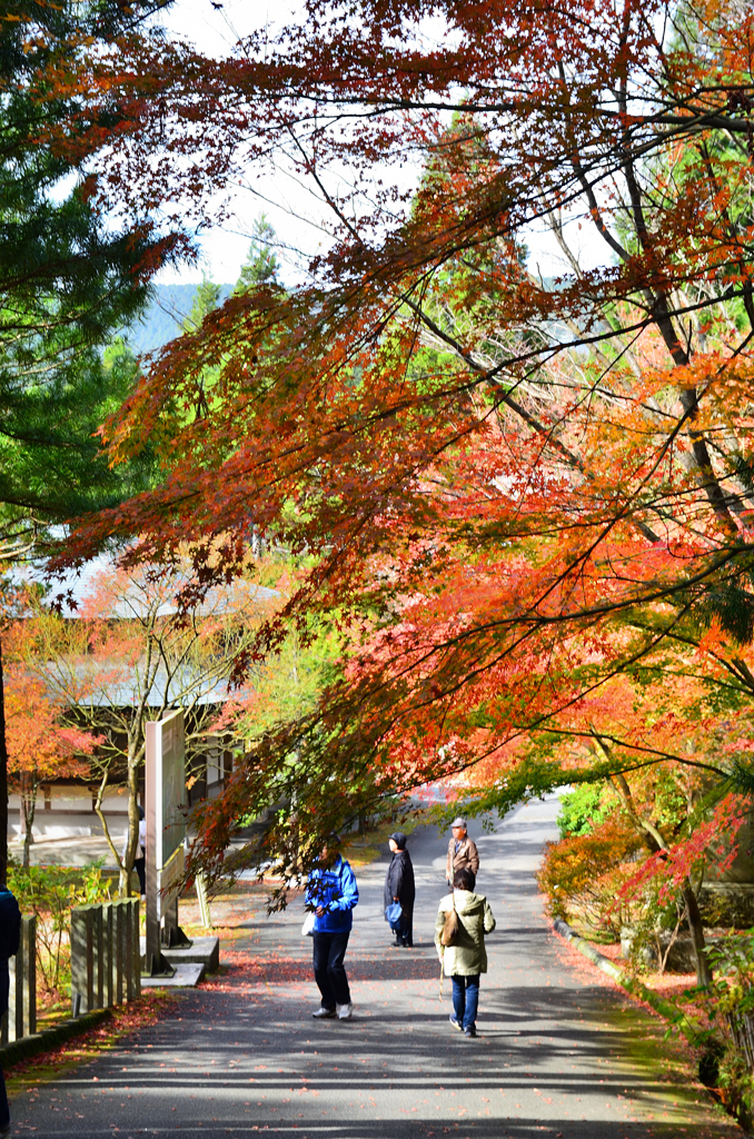 呑山観音寺2019-6　天王院　参道