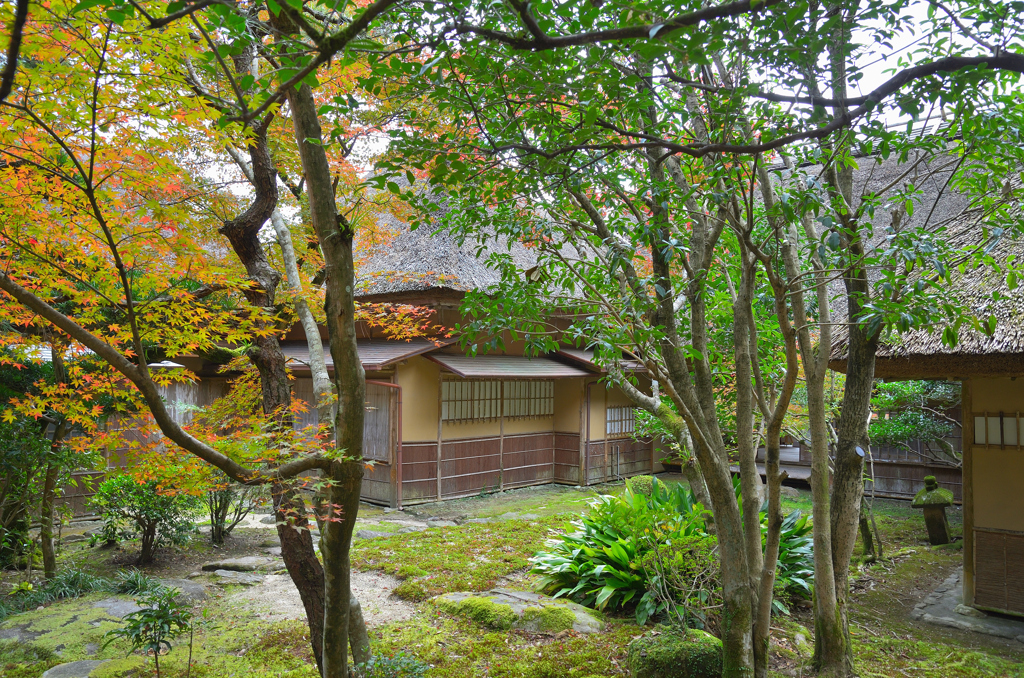 九年庵2019-5　裏庭より仏間棟　