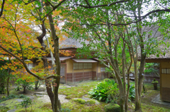 九年庵2019-5　裏庭より仏間棟　