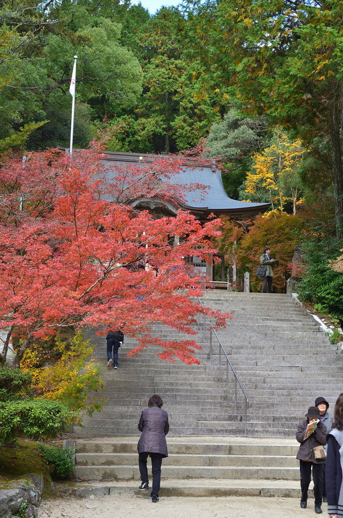 仁比山神社2019-1　参道②