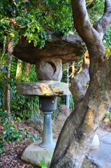 長崎2020　1月　諏訪神社　石燈籠