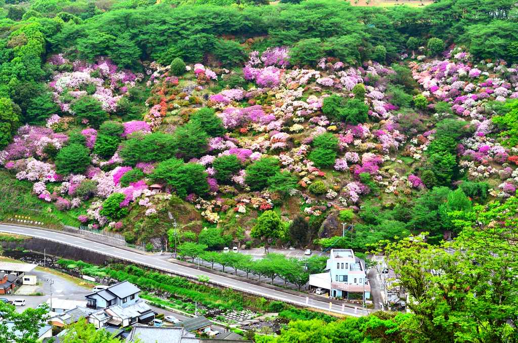 祐徳稲荷神社2019　奥の院 眺望②