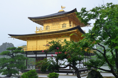 京都2022　7月　雨の金閣寺③