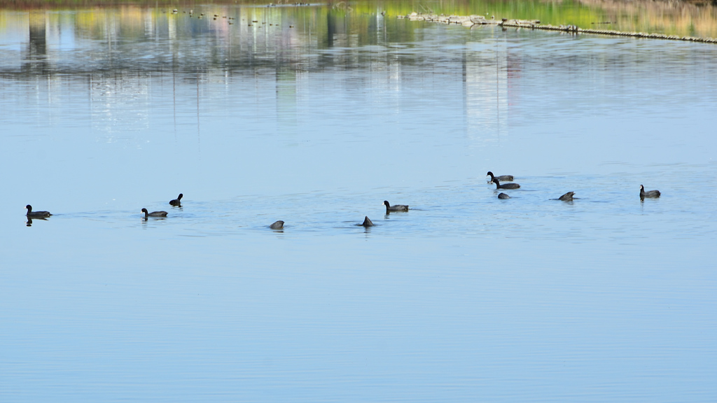英彦山川2022　河川敷　バンさん一味