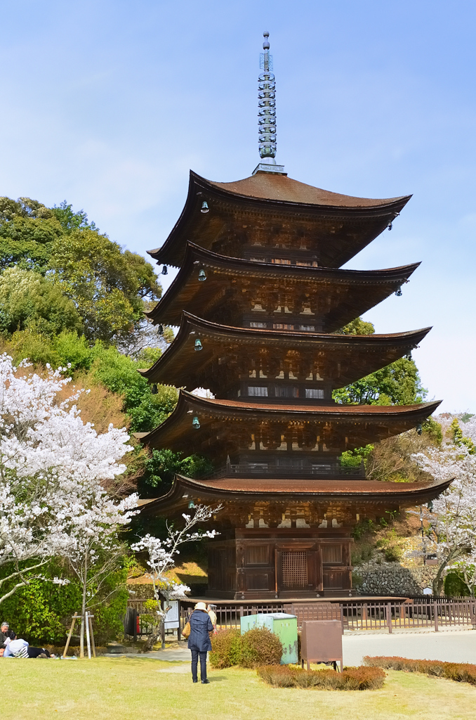 瑠璃光寺2021　春-2　五重塔