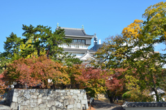 小倉城2022　11月-2　桜葉紅葉中