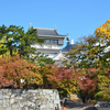 小倉城2022　11月-2　桜葉紅葉中
