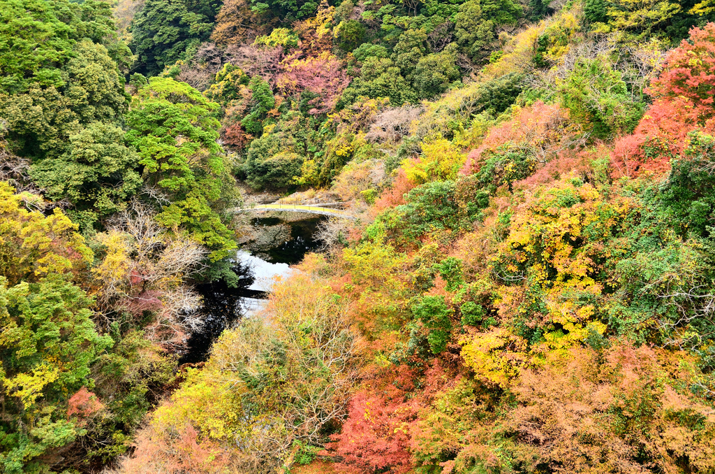 河内貯水池2020　11月　堰堤より渓谷