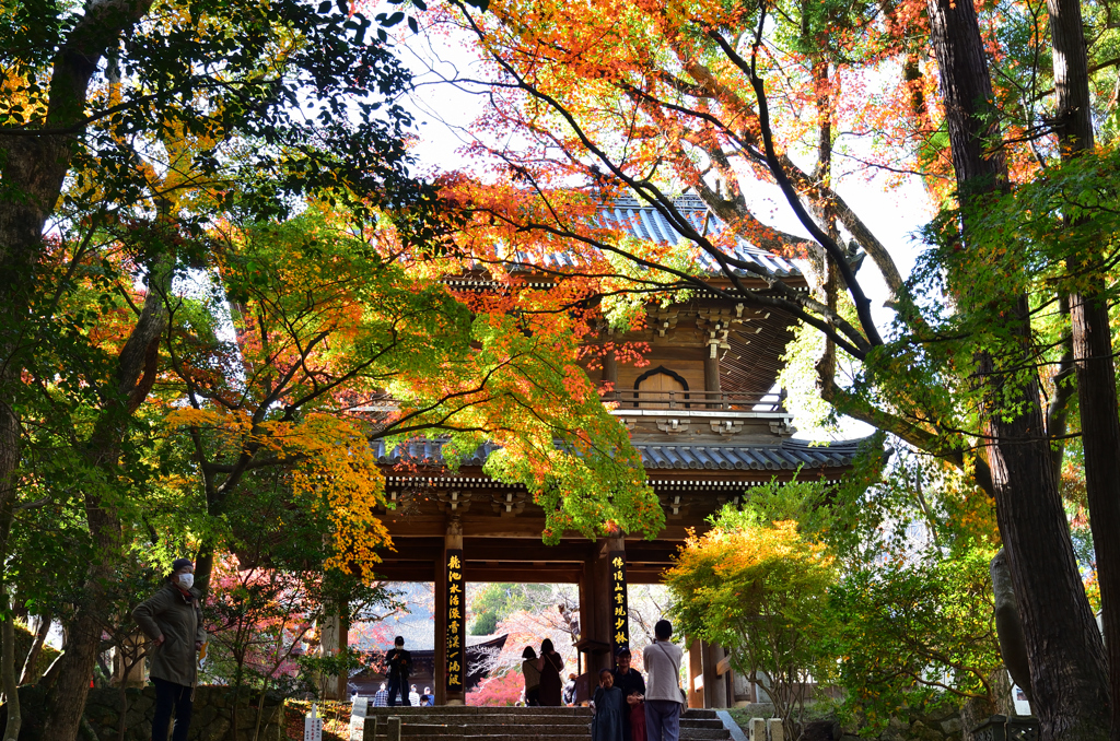 功山寺2022　11月-1　山門①