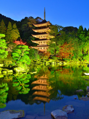 瑠璃光寺2020　秋-02　五重塔ライトアップ①