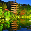 瑠璃光寺2020　秋-02　五重塔ライトアップ①