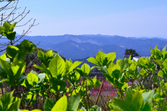 英彦山2020　スロープカー花駅　山並み