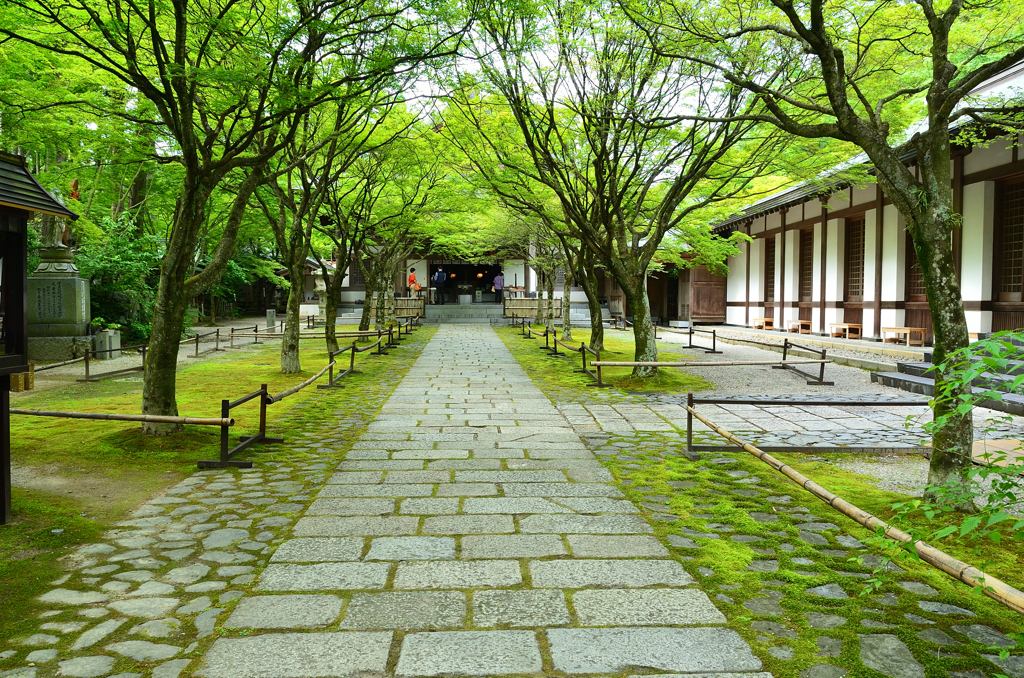 呑山観音寺2021　6月-5　天王院　参道②